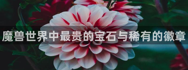 新宝5彩票是正规平台吗：魔兽世界中最贵的宝石与稀有的徽章