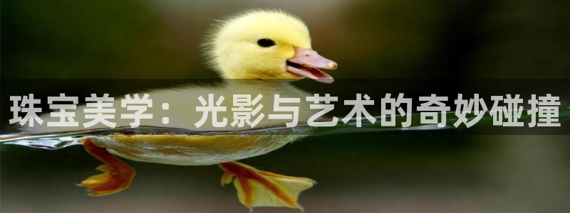 新宝5彩票平台登陆：珠宝美学：光影与艺术的奇妙碰撞