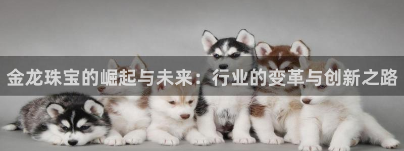 新宝5账号注册：金龙珠宝的崛起与未来：行业的变革与创新之路