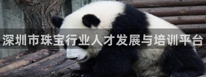 新宝5总代：深圳市珠宝行业人才发展与培训平台