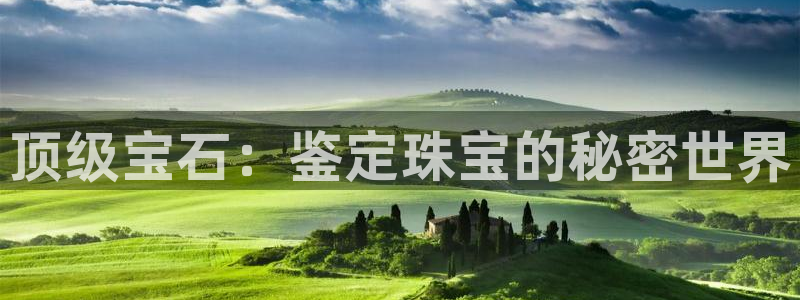 新宝5娱乐没：顶级宝石：鉴定珠宝的秘密世界