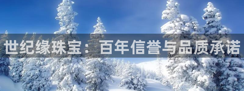 新宝gg5：世纪缘珠宝：百年信誉与品质承诺