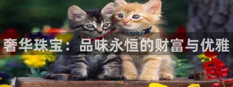 新宝5苹果手机下载：奢华珠宝：品味永恒的财富与优雅