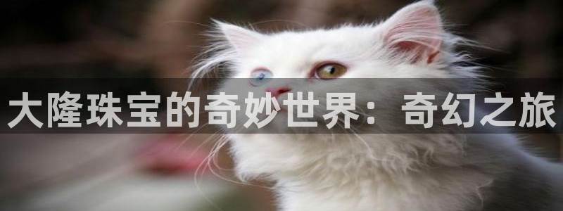 新宝5下载官方：大隆珠宝的奇妙世界：奇幻之旅