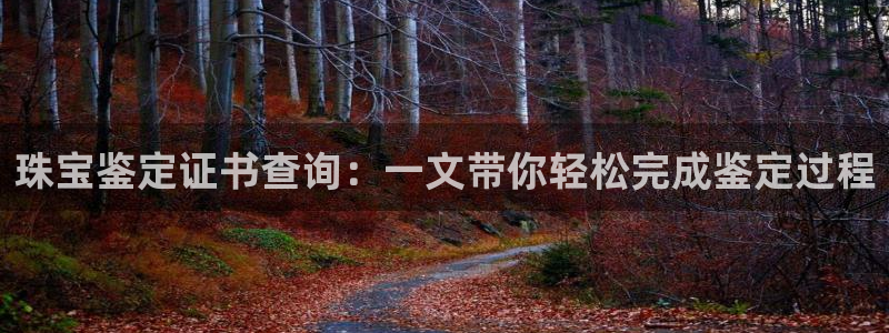 新宝5娱乐注册：珠宝鉴定证书查询：一文带你轻松完成鉴定过程
