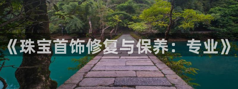 新宝5娱乐多：《珠宝首饰修复与保养：专业》