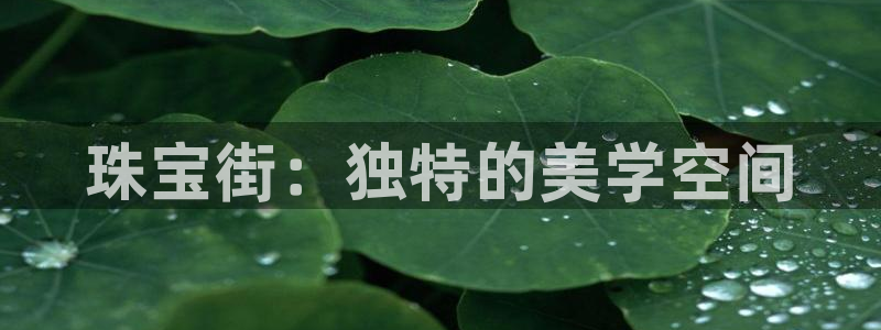 新宝5谠631257：珠宝街：独特的美学空间