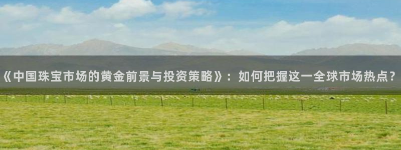 p5r新宝魔：《中国珠宝市场的黄金前景与投资策略》：如何把握这一全球市场热点？