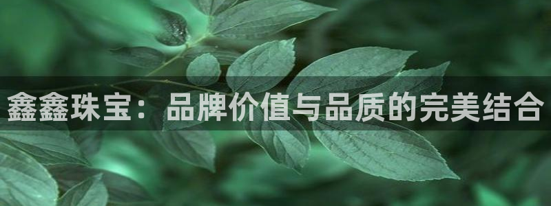 新宝5主管：鑫鑫珠宝：品牌价值与品质的完美结合