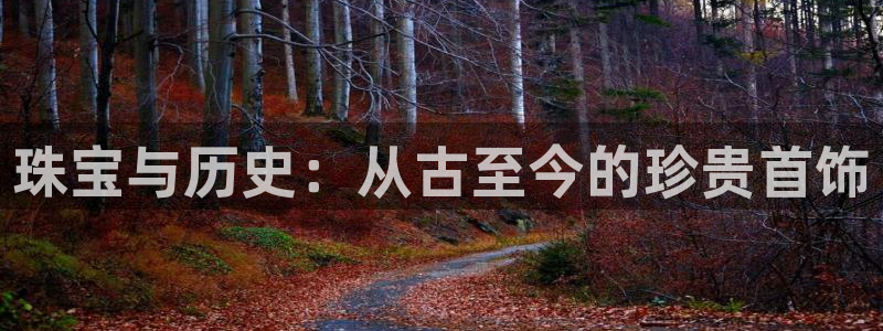 新宝5娱乐招商：珠宝与历史：从古至今的珍贵首饰