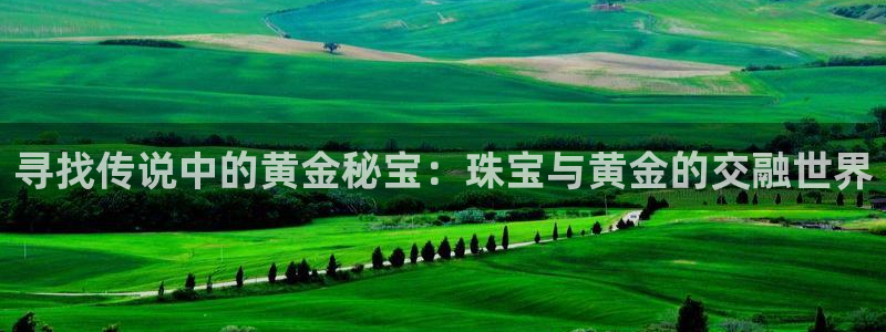 新宝h2O5O5O：寻找传说中的黄金秘宝：珠宝与黄金的交融世界