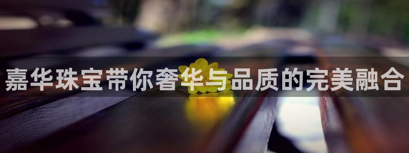 新宝5怎么代理：嘉华珠宝带你奢华与品质的完美融合