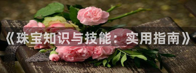 新宝5现在还能玩吗：《珠宝知识与技能：实用指南》