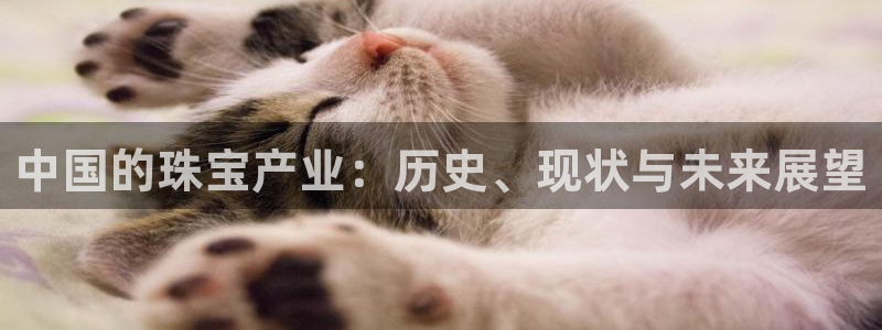 新宝5_测：中国的珠宝产业：历史、现状与未来展望