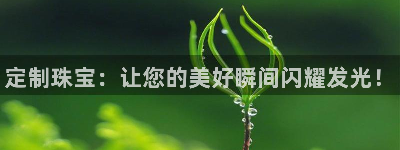 p5r新宝魔：定制珠宝：让您的美好瞬间闪耀发光！