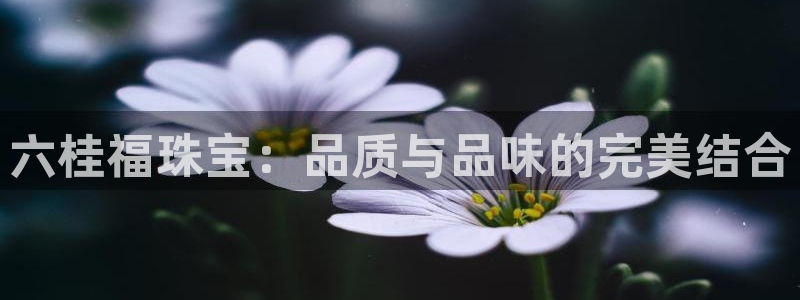 新宝5平台注册资金：六桂福珠宝：品质与品味的完美结合