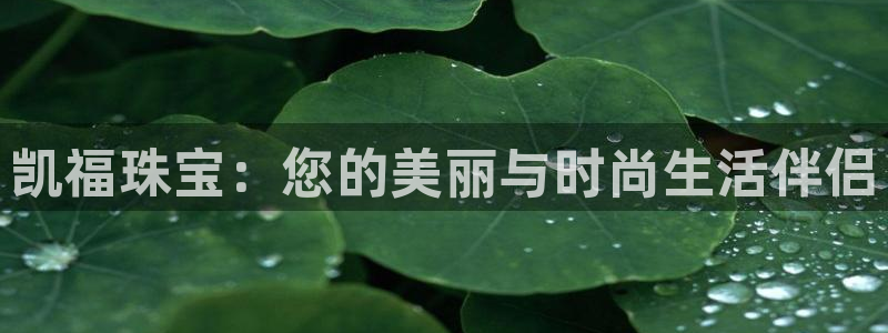 新宝5内部：凯福珠宝：您的美丽与时尚生活伴侣