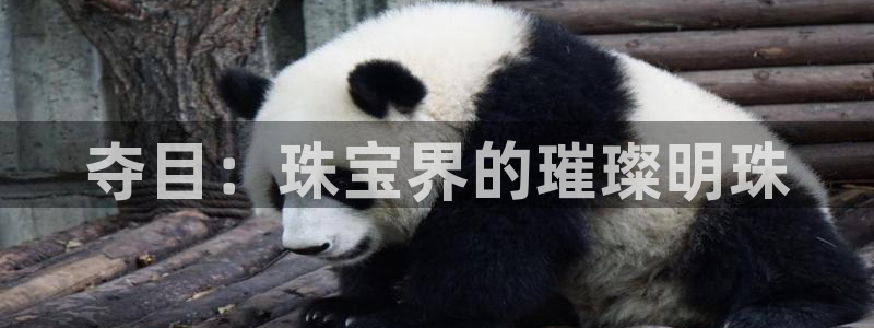 新宝5官网67五壹叁八：夺目：珠宝界的璀璨明珠