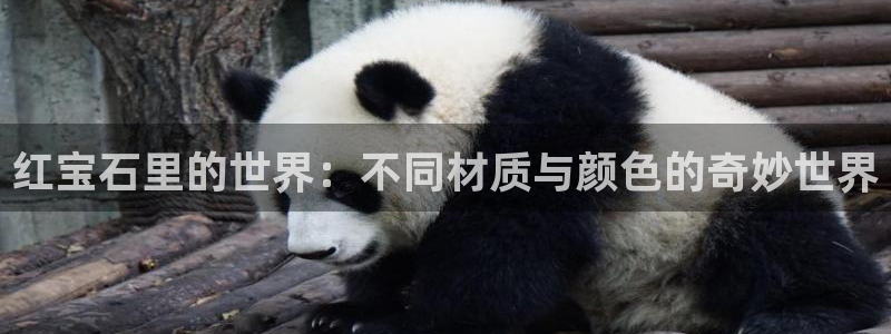 新宝5寻33 300球：红宝石里的世界：不同材质与颜色的奇妙世界