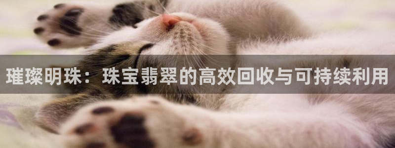 新宝5测登录：璀璨明珠：珠宝翡翠的高效回收与可持续利用