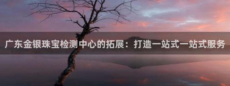 新宝5平台注册资金：广东金银珠宝检测中心的拓展：打造一站式一站式服务