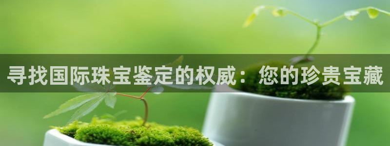 新宝 5测速：寻找国际珠宝鉴定的权威：您的珍贵宝藏