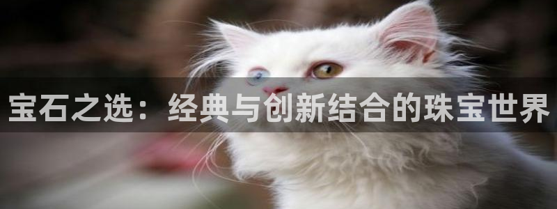 新宝5谠631257：宝石之选：经典与创新结合的珠宝世界