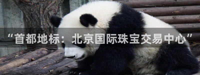 新宝5手机app：“首都地标：北京国际珠宝交易中心”