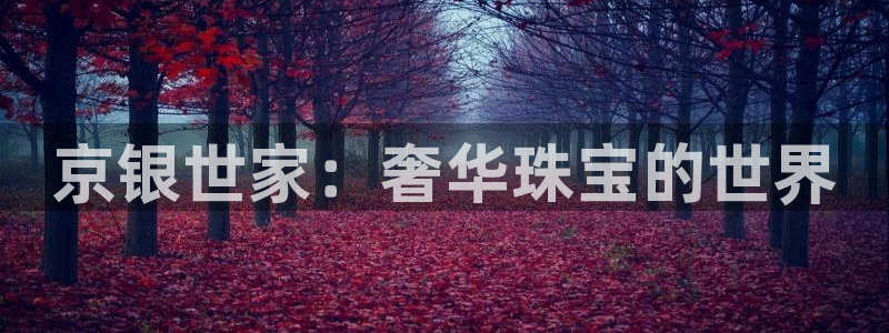 新宝5黑彩：京银世家：奢华珠宝的世界