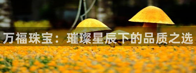 新宝5后：万福珠宝：璀璨星辰下的品质之选