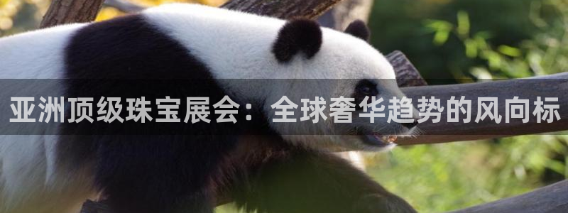 新宝5app：亚洲顶级珠宝展会：全球奢华趋势的风向标