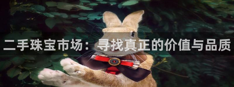 新宝5球维33 300：二手珠宝市场：寻找真正的价值与品质