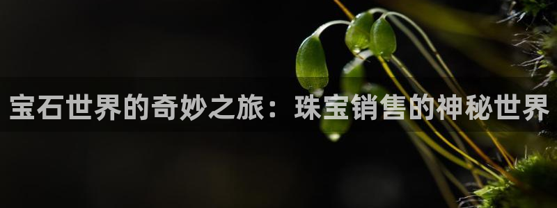 新宝5平台注册资金：宝石世界的奇妙之旅：珠宝销售的神秘世界