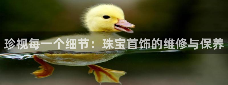 新宝 5测速：珍视每一个细节：珠宝首饰的维修与保养