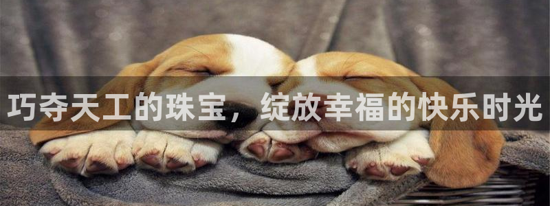 新宝5授权：巧夺天工的珠宝，绽放幸福的快乐时光