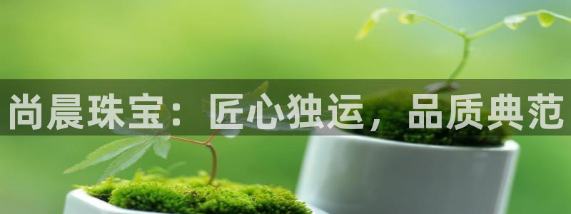 新宝5官网：尚晨珠宝：匠心独运，品质典范