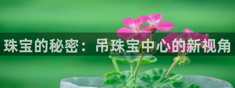 新宝注5册：珠宝的秘密：吊珠宝中心的新视角