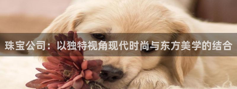 新宝5测速：珠宝公司：以独特视角现代时尚与东方美学的结合