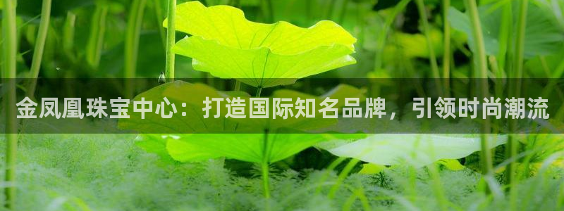 新宝5登陆：金凤凰珠宝中心：打造国际知名品牌，引领时尚潮流