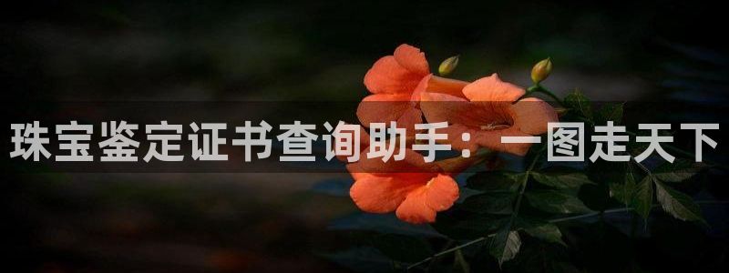 新宝5苹果手机下载：珠宝鉴定证书查询助手：一图走天下