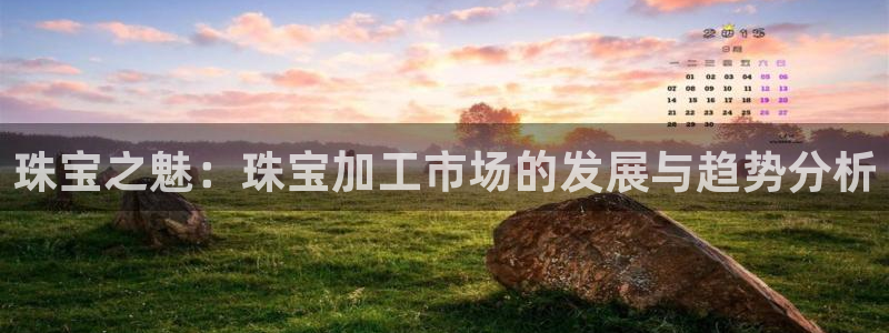 新宝5官网平台：珠宝之魅：珠宝加工市场的发展与趋势分析