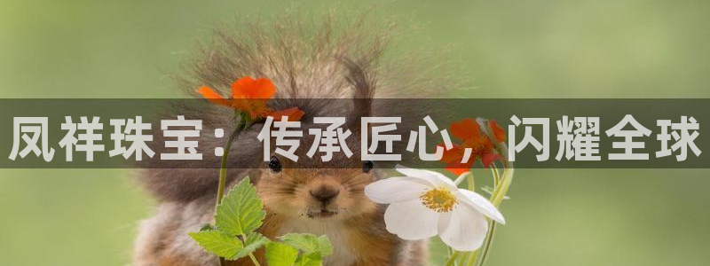 新宝5平台登录注册：凤祥珠宝：传承匠心，闪耀全球