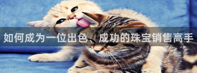 新宝5-测速：如何成为一位出色、成功的珠宝销售高手