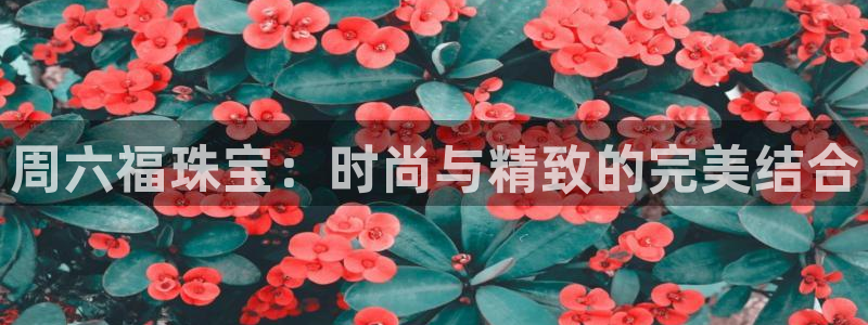 新宝5手机登陆：周六福珠宝：时尚与精致的完美结合