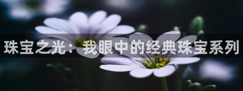新宝奇迹GG5：珠宝之光：我眼中的经典珠宝系列
