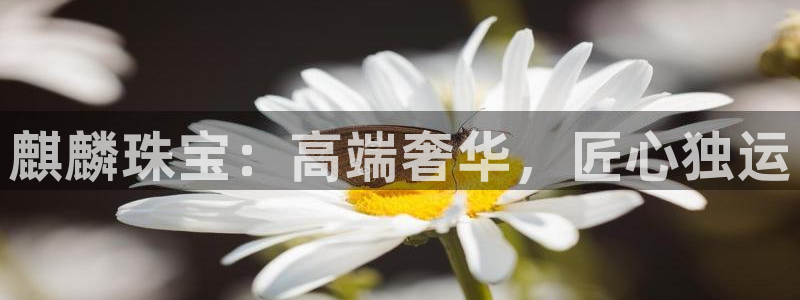 新宝5什么时候上市：麒麟珠宝：高端奢华，匠心独运