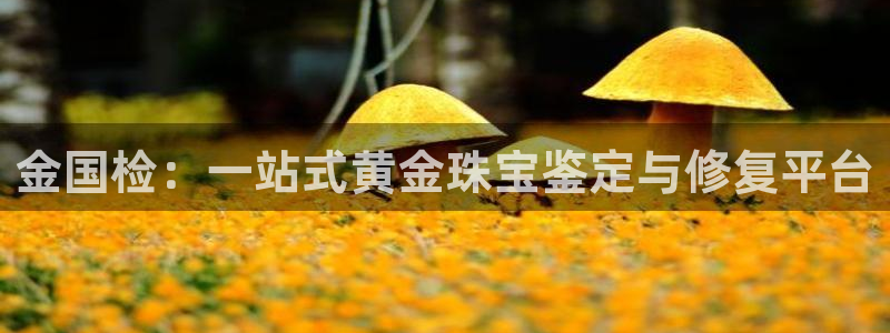新宝5测速在线：金国检：一站式黄金珠宝鉴定与修复平台