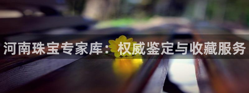 下载新宝5：河南珠宝专家库：权威鉴定与收藏服务