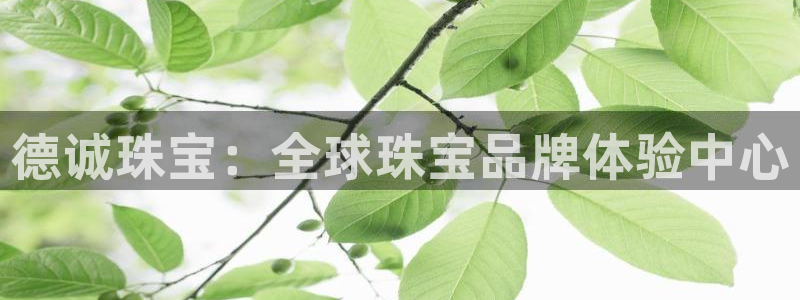 5新宝：德诚珠宝：全球珠宝品牌体验中心