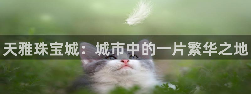 新宝5平台注册：天雅珠宝城：城市中的一片繁华之地